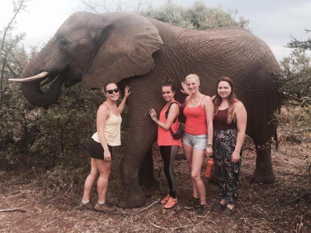 12235141_10153684177734675_3454418560806418868_n