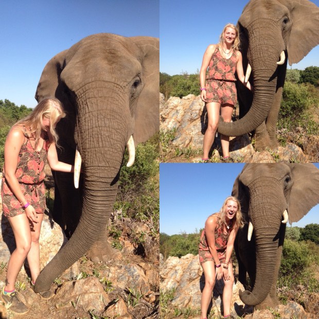 12325772_10153849744657125_1103949312_o